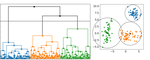 Hierarchical clustering with prototypes